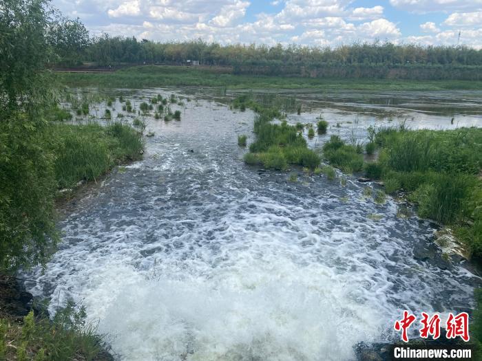 2日，经四平市污水处理厂的尾水正在排入西湖湿地。　谭伟旗 摄