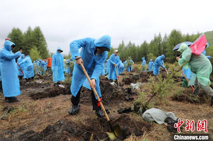 图为十余省(自治区、直辖市)的400多名游客为内蒙古大兴安岭植绿。　张淳源 摄