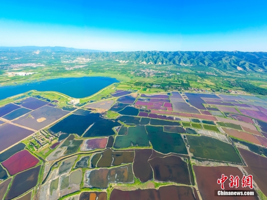 山西运城：盐湖靓 生态美