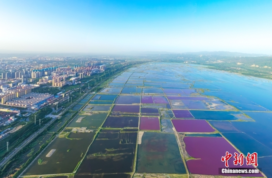 山西运城：盐湖靓 生态美