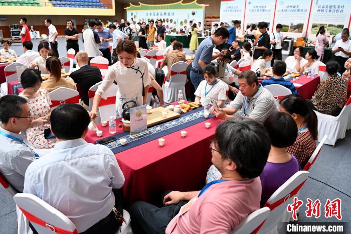 此次活动以“花样漳州·乌龙茶香”为主题。图为茶会现场参会嘉宾品茗聊天。　张金川 摄