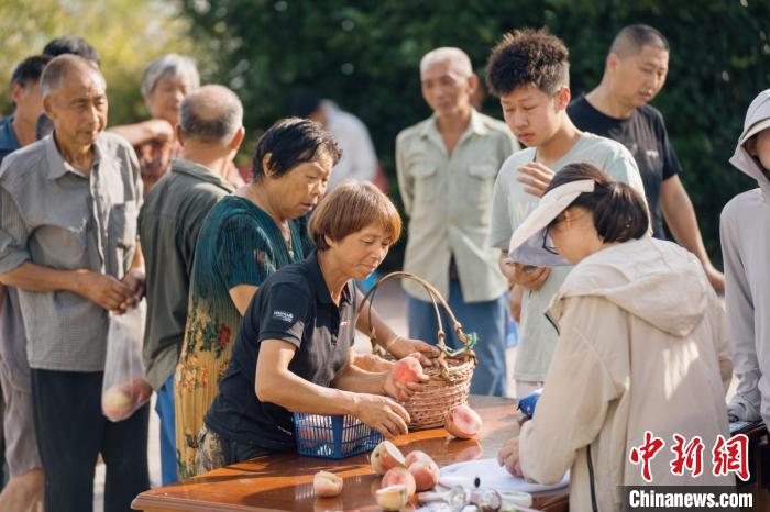 浙江小镇桃子闯出“一片天”以农旅融合形式助农致富