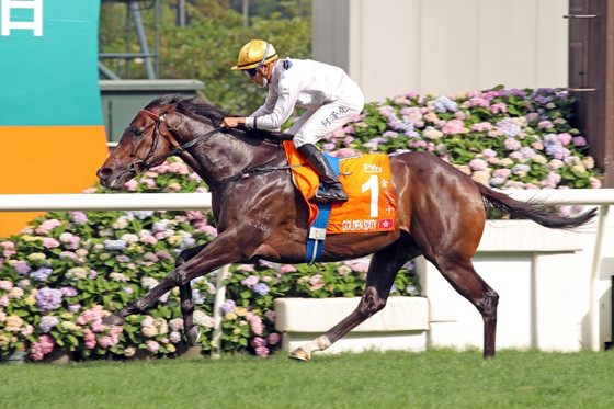 星级赛驹“金枪六十”三夺“香港马王”殊荣。（香港赛马会供图）