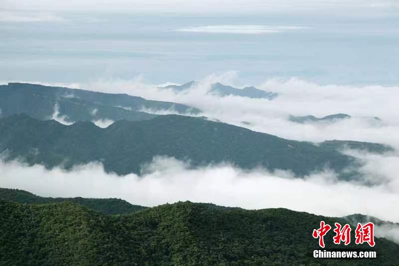 探寻人祖山原始森林谧境 看世外桃源美丽星空