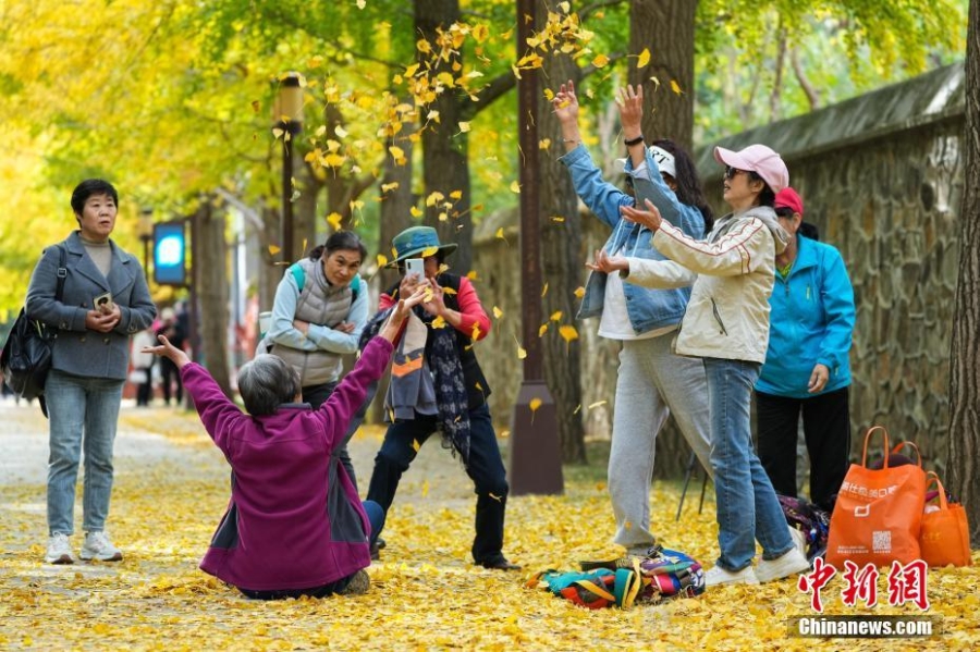 游客在北京圆明园赏满园秋色