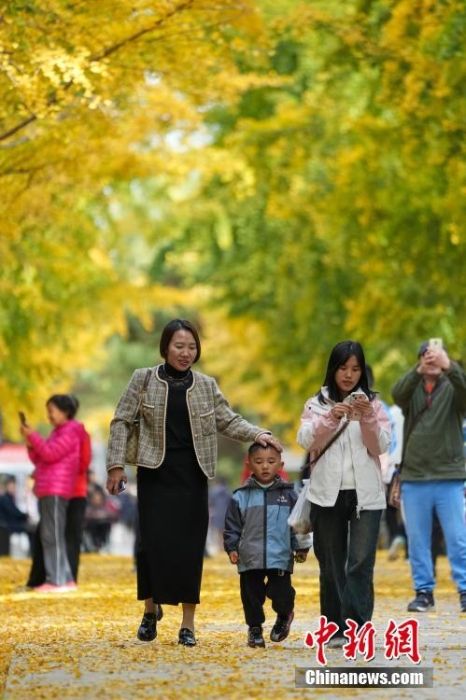 游客在北京圆明园赏满园秋色