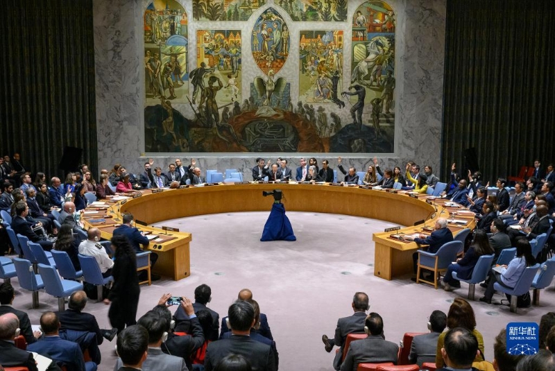 11月15日，在位于纽约的联合国总部，安理会就涉巴以局势的决议草案进行表决。（图源：新华社）