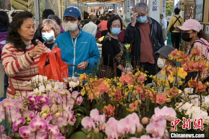 香港2024本地渔农美食嘉年华在旺角花墟公园揭幕