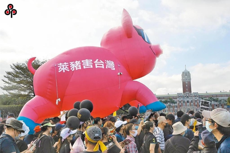 台中市政府近日抽验国产台糖安心豚梅花肉片，竟检出瘦肉精西布特罗。（报系资料照）