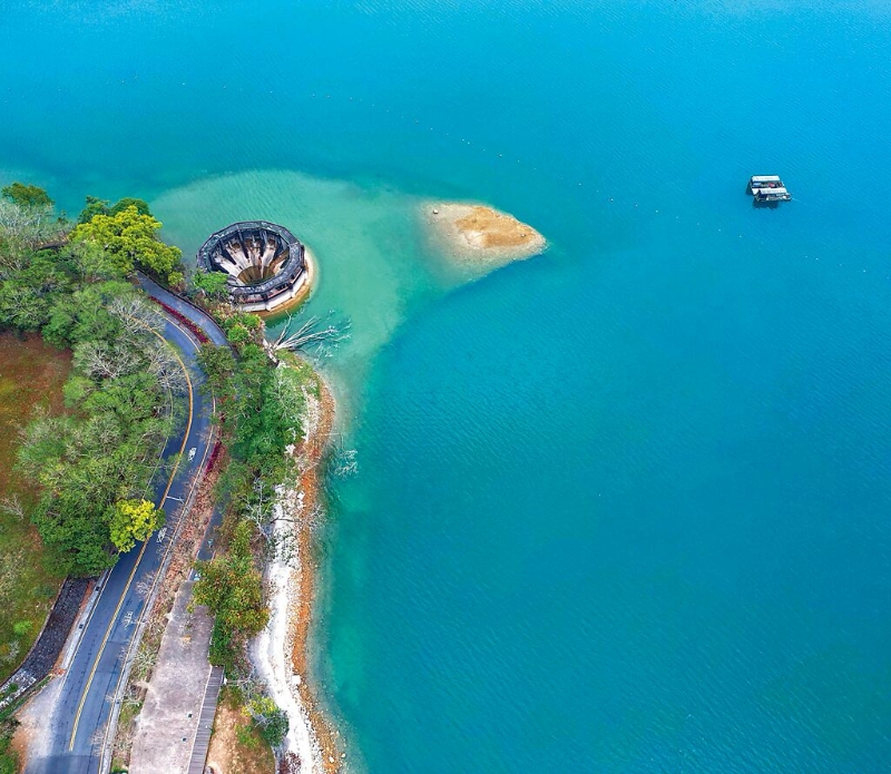 台湾日月潭九蛙全露现鸟吃虫奇景