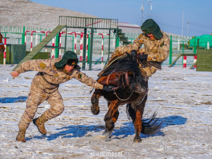 关中马骑兵图片