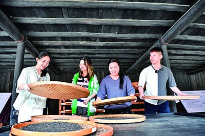 袅袅茶香飘两岸——海峡两岸媒体人走进湖南探寻茶乡