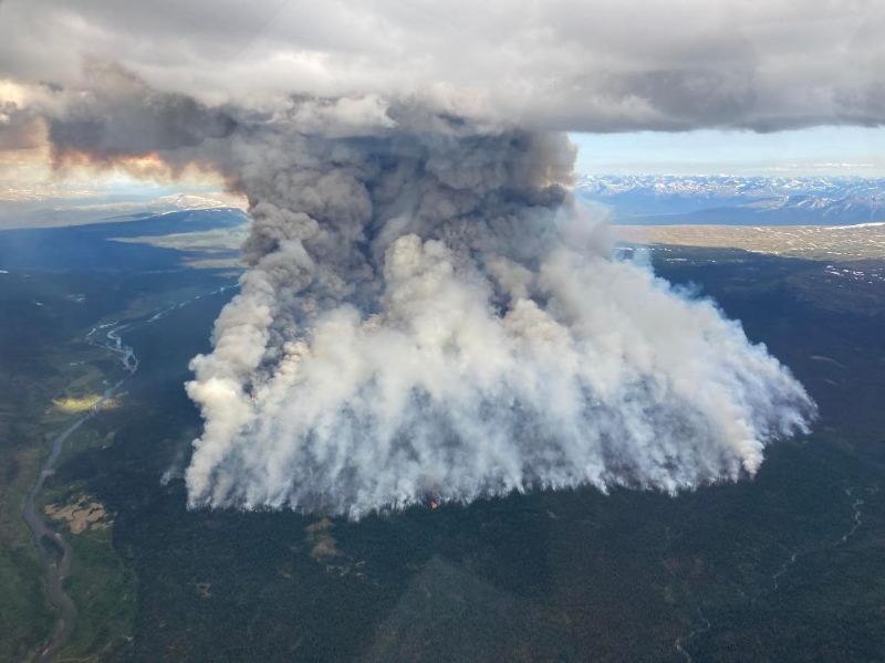 这是2023年6月24日拍摄的加拿大不列颠哥伦比亚省的山火（航拍照片）。（图源：新华社）