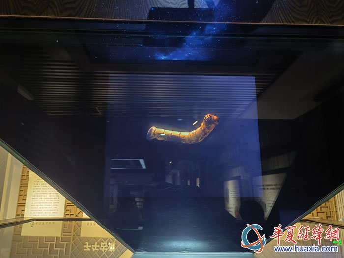 石泉县鎏金铜蚕展览馆中，汉代鎏金蚕的动画展示。