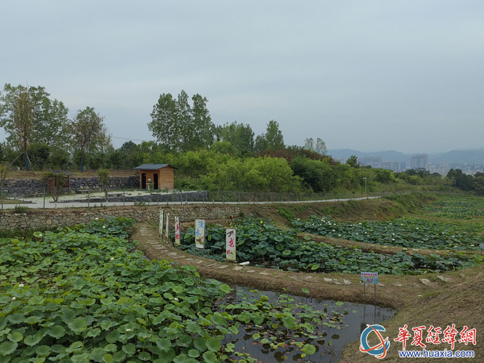 台湾农民创业园富硒水产养殖区。
