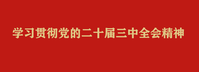 学习贯彻党的二十届三中全会精神