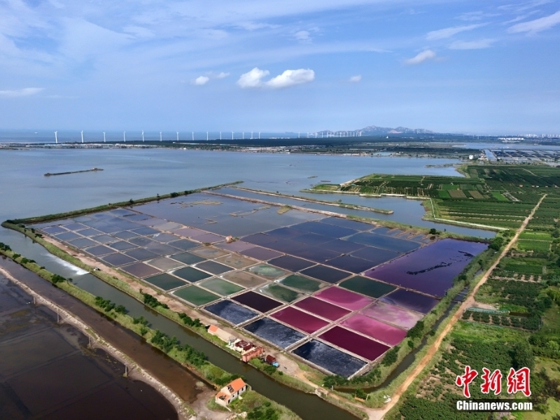 8月7日，山东省荣成市港西镇朝阳港的一处盐田在蓝天白云的映衬下呈现出色彩斑斓、绚丽多彩的独特景观，成为海边的一道靓丽风景。