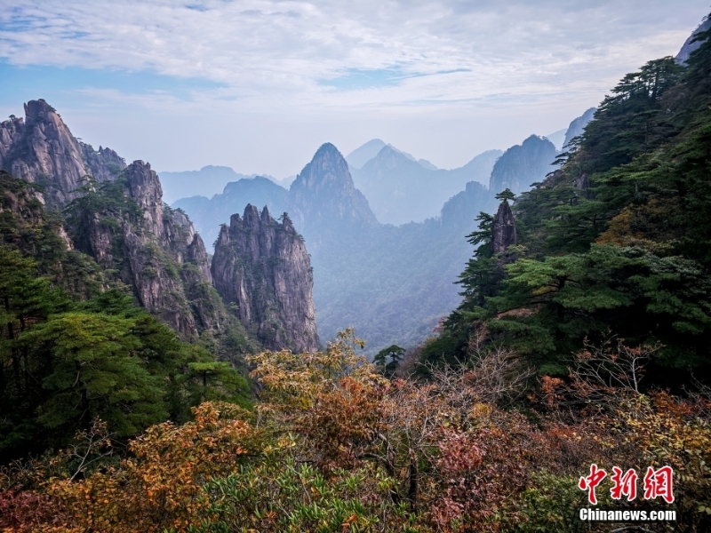 黄山秋景正当时