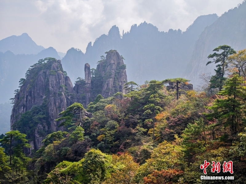 黄山秋景正当时