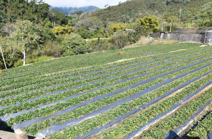 苗栗县大湖乡南湖溪流域遭二河分署画定为河川区